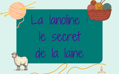La lanoline : le secret de la laine
