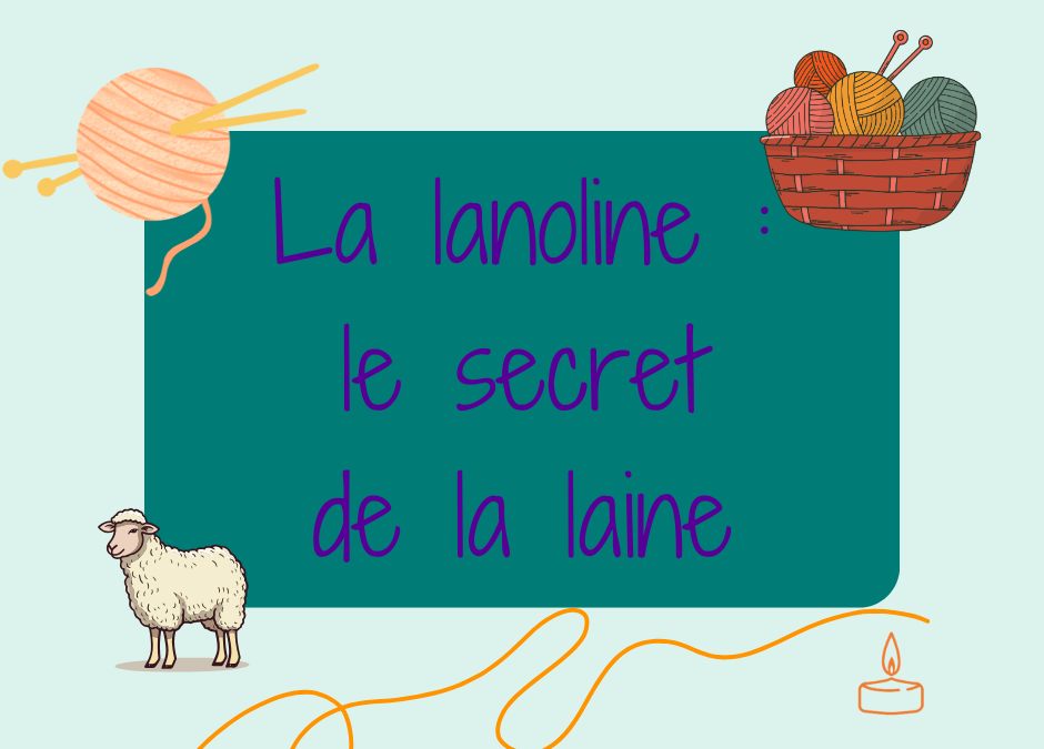 Lanoline : le secret de la laine